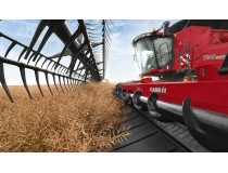 Зерновые жатки Case IH 3152 (Rigid Draper)