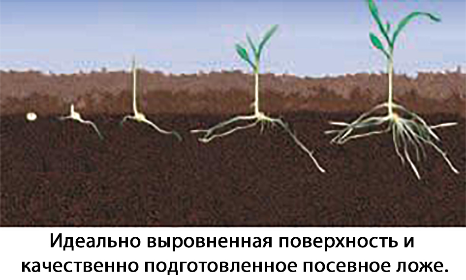 Case IH Tiger-Mate 255